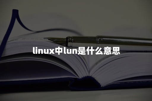linux中lun是什么意思